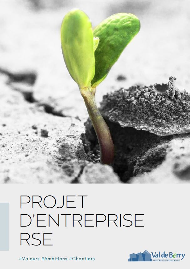 projet d'entreprise 2025